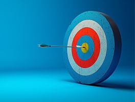 vision universal polymers